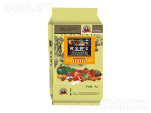 �S��⛌�-����ʩ