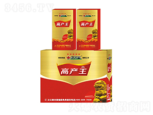 �߮a��-��������