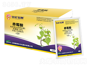 20%��ù��-��������-�����S