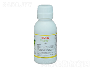 ������-�����S