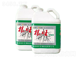 �_ʩ�͸���-�ؾ�����