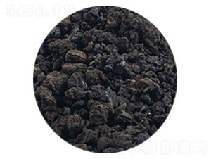 �S������w��-�𺣵|