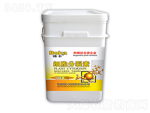 ����������-���� 