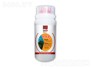 ������-����