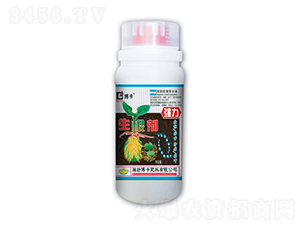 ����������-����