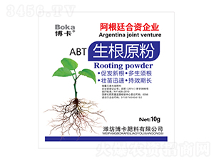 ����ԭ��-����