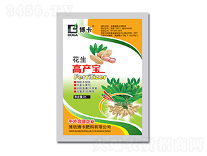 �����߮a��-����