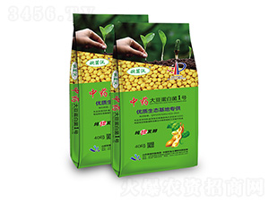 ��ˎ���󶹵��׾�1̖-�W�����F