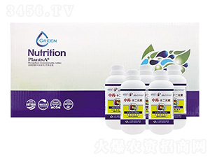 ��ˎ ��ʮ��Ԫ��-�W�����F