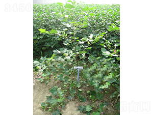 ������28-�޻��N��-�y�d�N�I