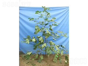 �x��38-�޻��N��-�y�d�N�I