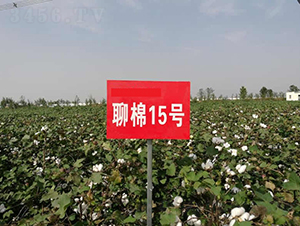 ����15̖-�޻��N��-�y�d�N�I