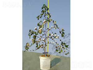 KRZ06-�޻��N��-�y�d�N�I