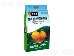 �ݲݡ������ѿ�ߗU��-�̝���-�T�_