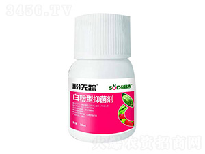 白粉型抑菌劑-粉無蹤-碩達(dá)