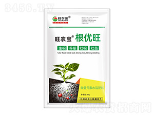 ����(y��u)��-��(qi��ng)������-���r(n��ng)��