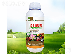 ϡ��������-������