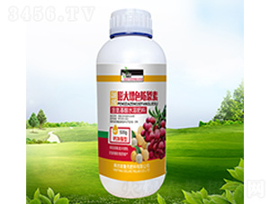 �����ɫ������-������