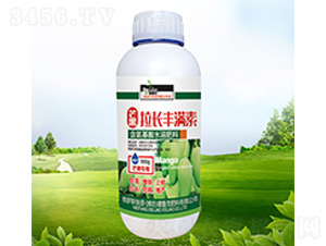 â�����L(zh��ng)�S�M��-������