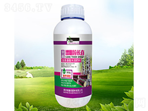 �����������L(zh��ng)ֱ-������