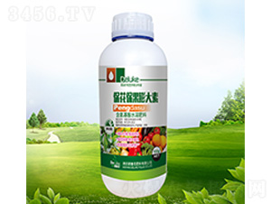 �������������-������