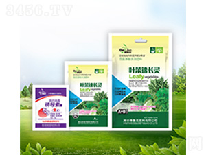 �~�����L(zh��ng)�`+�T��(d��o)��-������