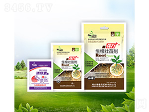 �������焩+�T��(d��o)��-������