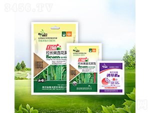 �������L(zh��ng)��ֱ���v�+�T��(d��o)��-������