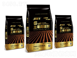 �����{�턩-�G�۞�-��������