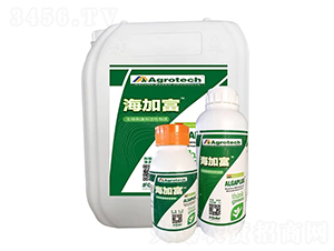 ����̼���-���Ӹ�-����̩��