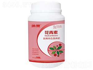 ������-�{��-�{�ƵV�I