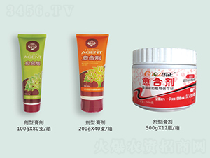 ֲ�����τ�-����-������