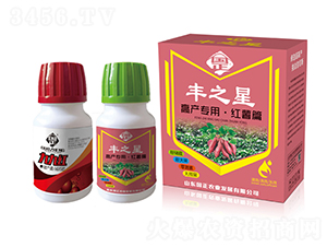 �t���߮a���b-�S֮��-������