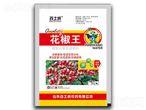 ������-��ʿ��