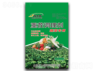 �߲ˌ����ز��{�턩-��ʿ��