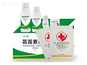 0.01%�|̦�؃���-��˹����