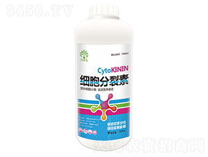 ����������-������-�rʥ�� 