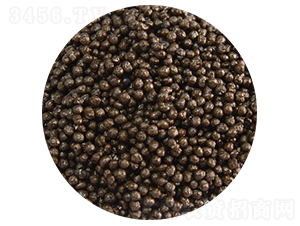 ������@���w����-��ӷʘI