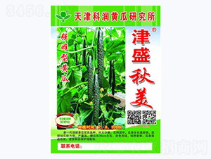 ��ʢ����-�S�ϷN��-�Ɲ��N�I