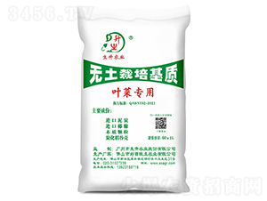 �~�ˌ��ßo��������|-�����r�I