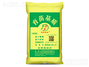 Ư��������|-�����r�I