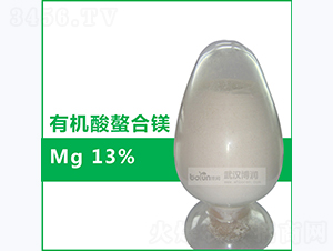 13%�ЙC�������V-�����Ƽ�