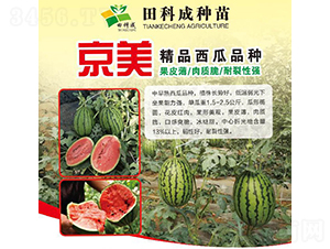 ����-���ϷN��-��Ƴ�