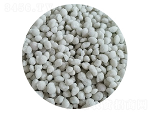 ���@����ɫ���{ɫ��-���S�Ƽ�