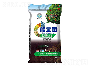 �ЙC���Ͼ���-���S�Ƽ�