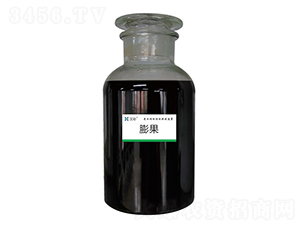 ���-�h�����B