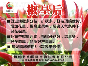 �~���-���ʺ�-�˄����H