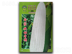 �ϼҚg-Ŵ���׷N��-�P�˷N�I