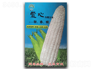 ����-Ŵ���׷N��-�P�˷N�I