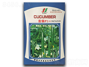 ����F1-�S�ϷN��-�P�˷N�I